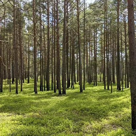 Bergsby Noarootsi Holiday home *