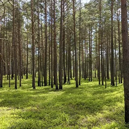 Bergsby Noarootsi Puhkemaja *
