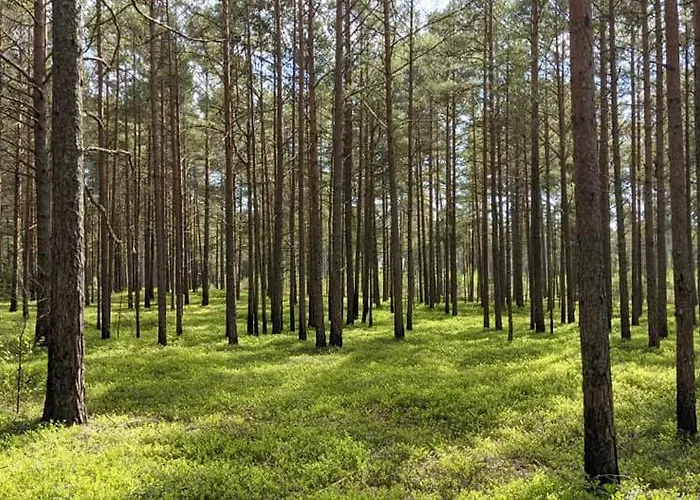 Bergsby Noarootsi Vakantiehuis *